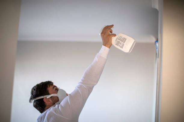 Best Localized Mold Remediation (e.g., coastal areas, humid climates) in Stanford, CA